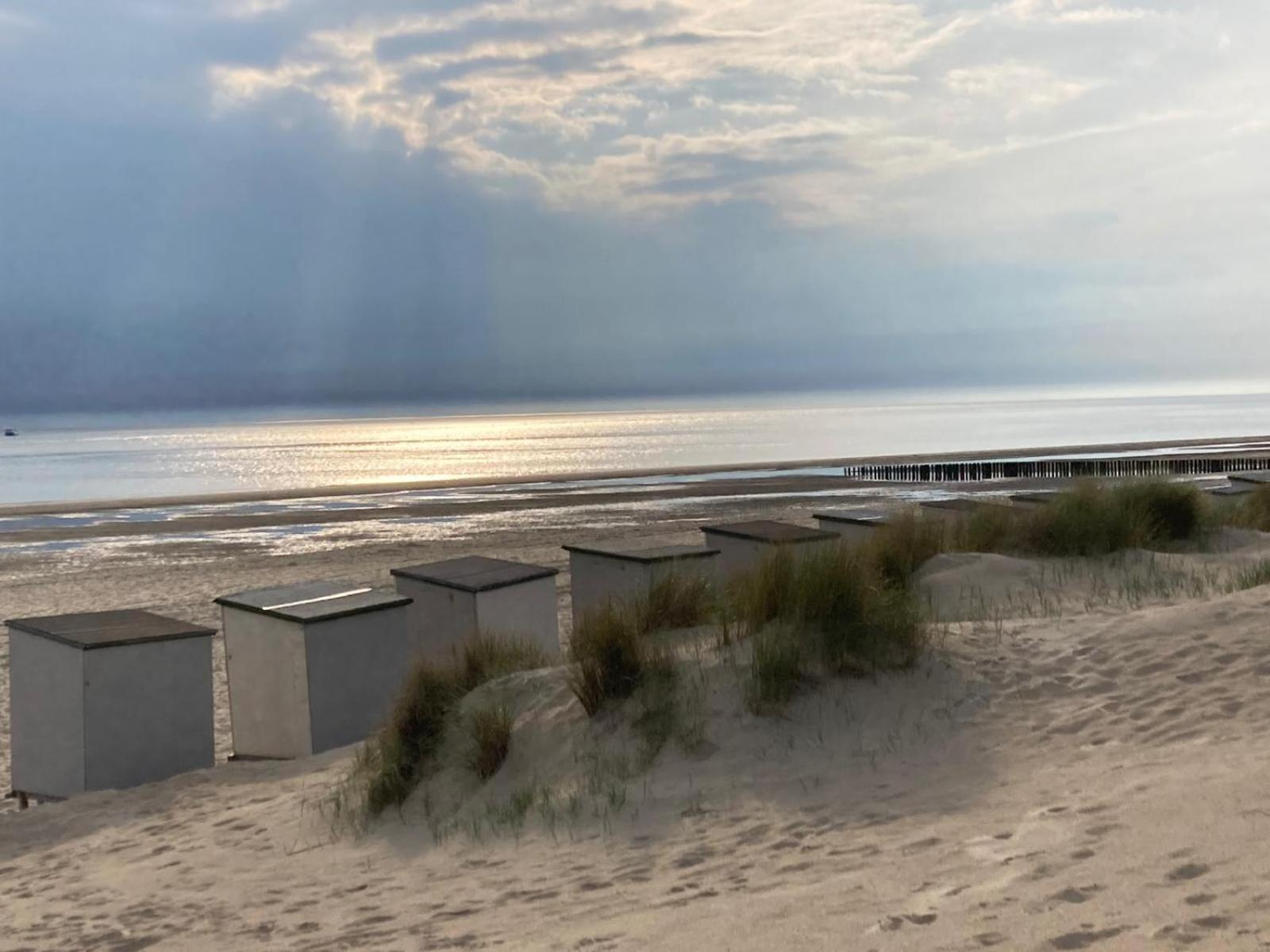 Duinstrand Burgh-Haamstede Bagian luar foto